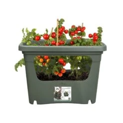 Elho Plantenbak Green Basics Stack & Grow Large Groen -Gardena Winkel elho plantenbak green basics stack grow large groen 800x800 620e3d4de4622 l