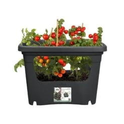 Elho Plantenbak Green Basics Stack & Grow Large Zwart -Gardena Winkel elho plantenbak green basics stack grow large zwart 800x800 620e3d4eed857 l