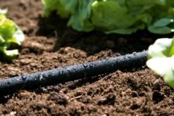 GARDENA Duizenddruppelslang 15m 5 GARDENA Duizenddruppelslang 15m -Gardena Winkel gardena duizenddruppelslang 15m 1619704664 1 l