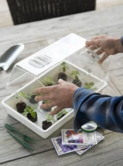 Nature Deksel Voor Kweekbak 55x31cm -Gardena Winkel nature deksel voor kweekbak 55x31cm 595x800 6214a0230c942 l