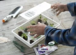 Nature Deksel Voor Kweekbak 55x31cm -Gardena Winkel nature deksel voor kweekbak 55x31cm 800x587 6214a0233f631 l