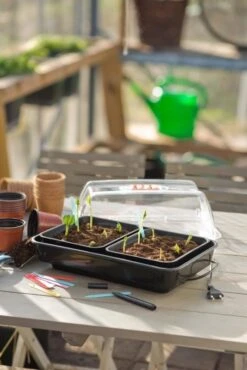 Nature Kweekkas Verwarmd 38x24cm -Gardena Winkel nature kweekkas verwarmd 38x24cm 534x800 6214a026e40ab l