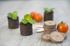 Nature Turftabletten 48st -Gardena Winkel nature turftabletten 48st 800x532 6214a01453d91 l