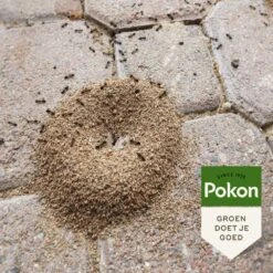 Pokon Tegen Mieren Korrels 400gr 11 Pokon Tegen Mieren Korrels 400gr -Gardena Winkel pokon tegen mieren korrels 400gr 1000x1000 6221fb52c5ede l
