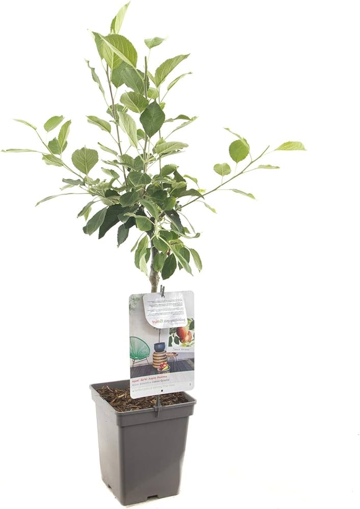 Gardena Winkel 25 Gardena Winkel -Gardena Winkel