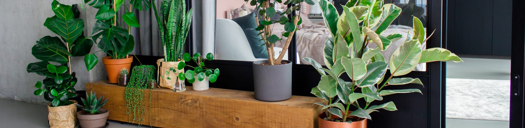 Gardena Winkel -Gardena Winkel MG 8412 1 2048x500 1