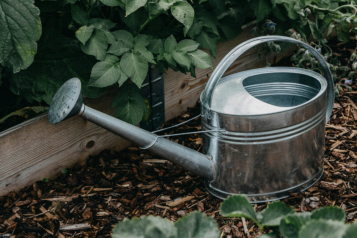 Gardena Winkel 12 Gardena Winkel -Gardena Winkel katharina bill I7uO3BLNN8U unsplash